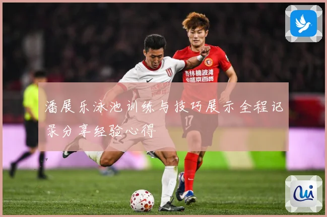 潘展乐泳池训练与技巧展示全程记录分享经验心得