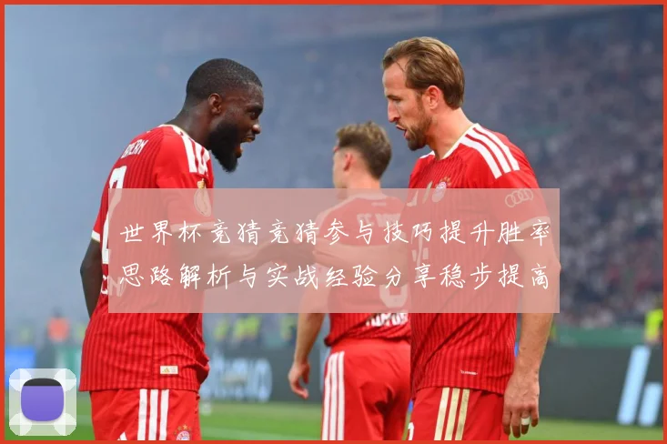 世界杯竞猜竞猜参与技巧提升胜率思路解析与实战经验分享稳步提高数据研判