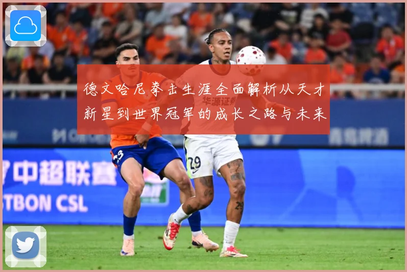 德文哈尼拳击生涯全面解析从天才新星到世界冠军的成长之路与未来挑战