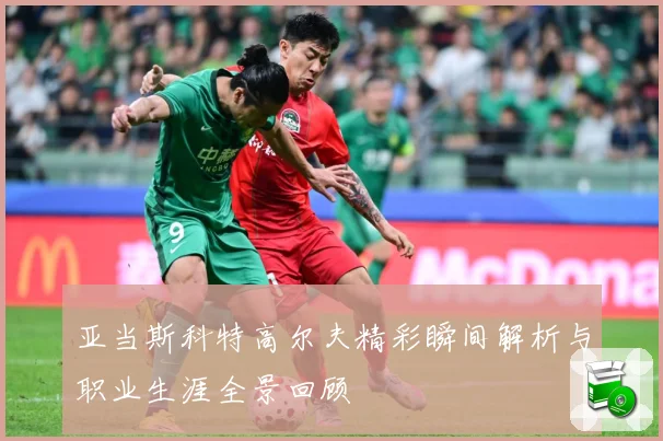 亚当斯科特高尔夫精彩瞬间解析与职业生涯全景回顾