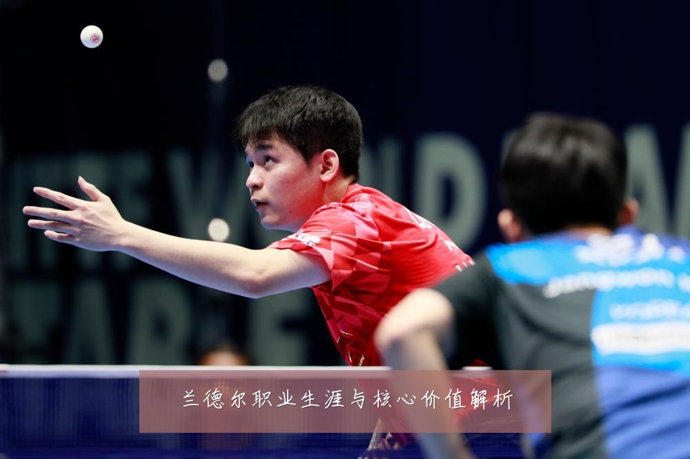 兰德尔职业生涯与核心价值解析